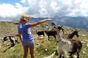 Venina, Masoni, Pes Gerna, tris di cime in cresta da Carona-Rif. Longo il 5 agosto 2017 - FOTOGALLERY